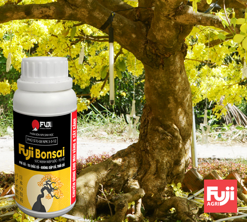Phân bón to gốc nở củ mai vàng fuji bonsai - to gốc - nở củ - lớn rễ 250ml