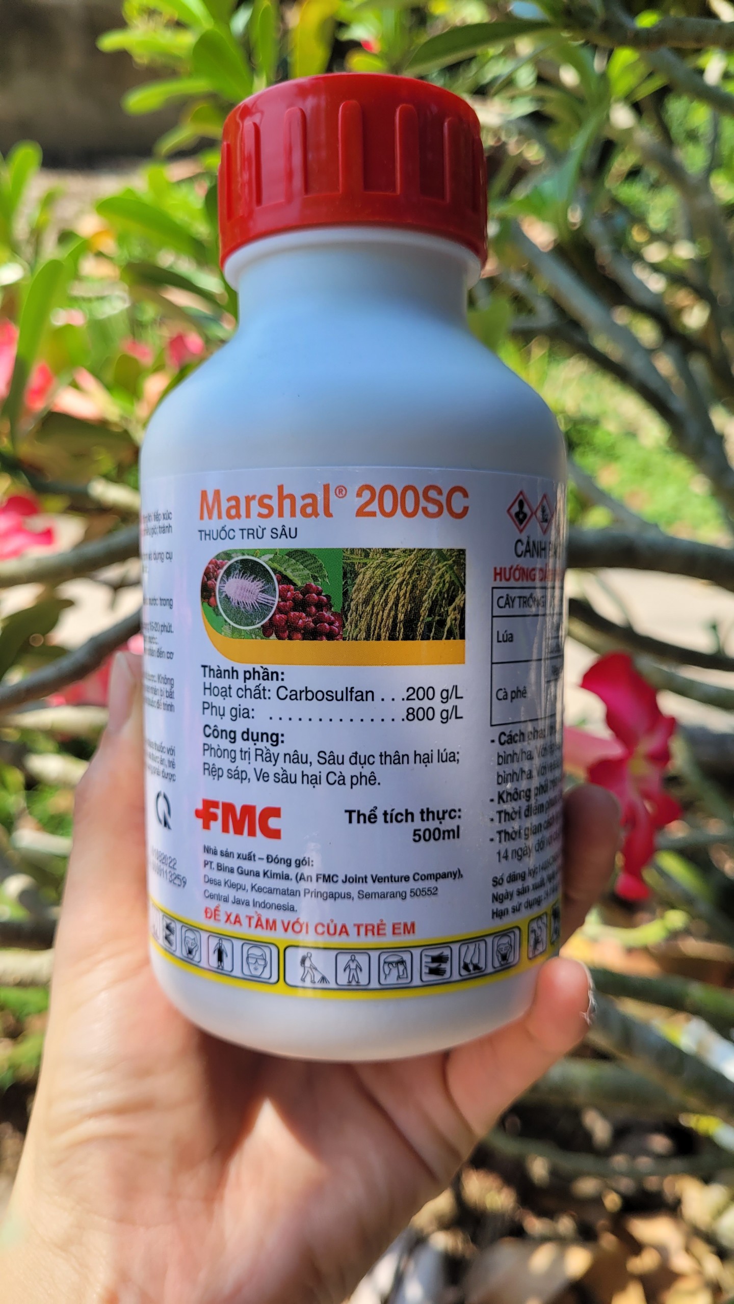 Trừ rầy nâu, sâu đục thân, rệp sáp marshal 200sc chai 500ml_vtnn tien khoa