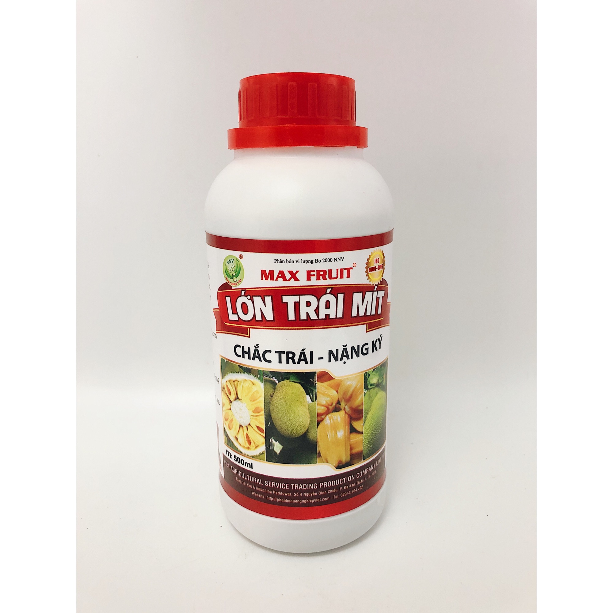 SIÊU LỚN TRÁI MÍT - MAX FRUIT