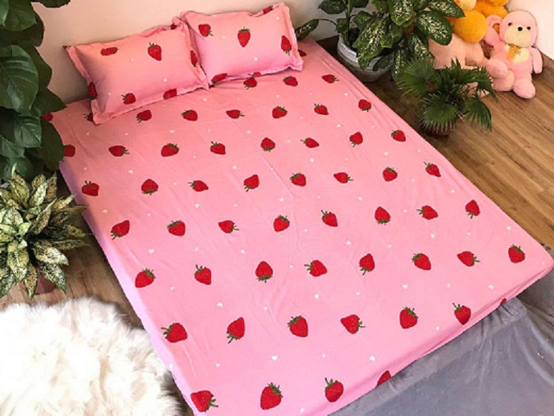 Set Ga Gối Poly ( tặng kèm áo gối ôm ) Mẫu  Dâu Tây