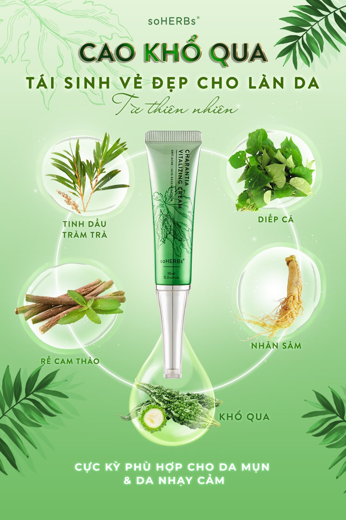 Cao khổ qua soherbs siêu rẻ