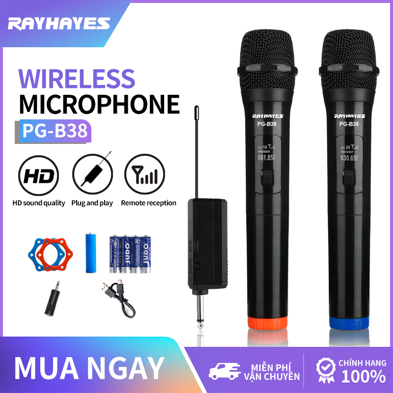 Rayhayes pg-b38 micro không dây chính hãng đôi micro cầm tay có đầu thu micro chuyên nghiệp karaoke kèm pin