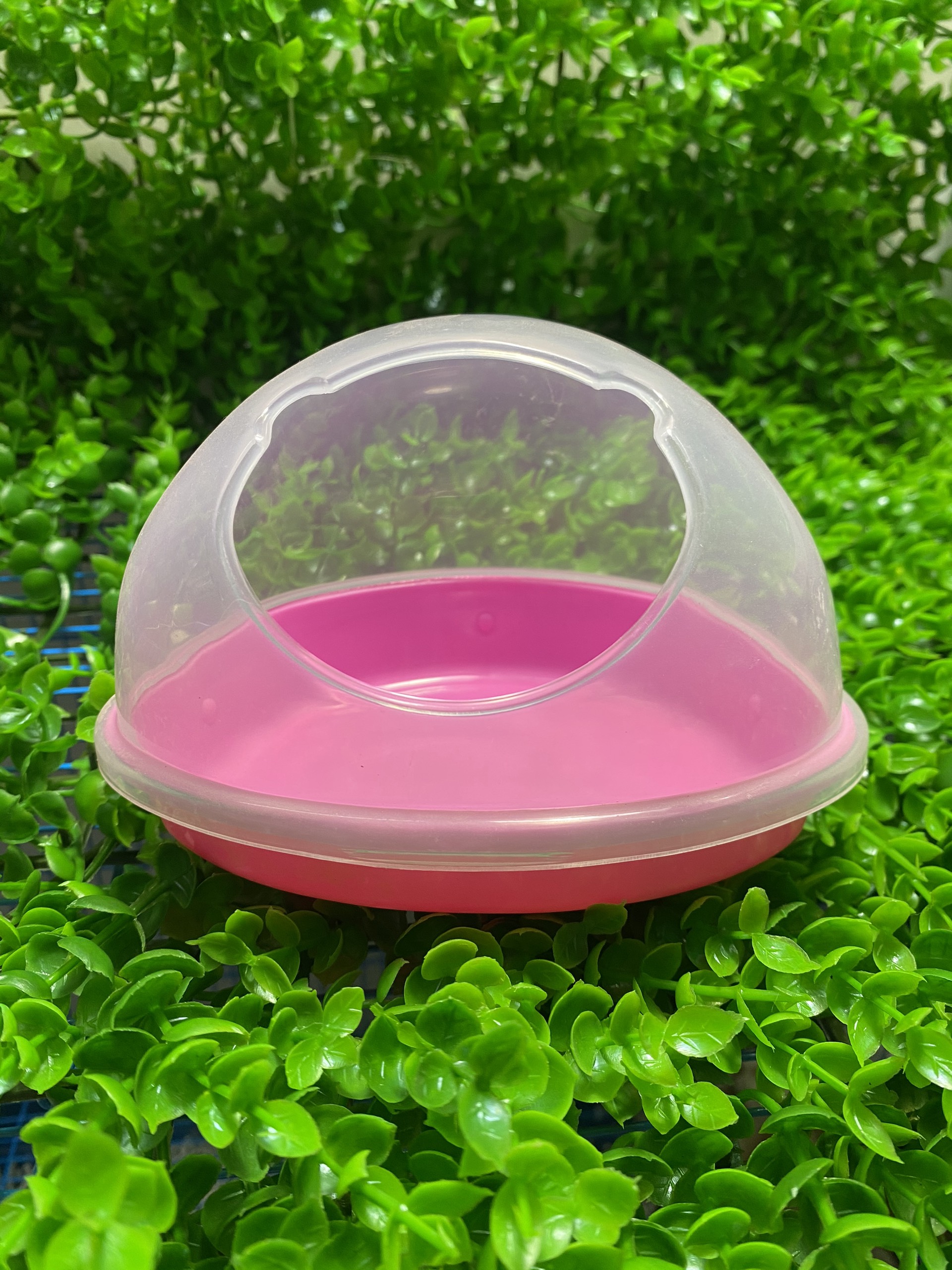 Nhà tắm lớn cho hamster