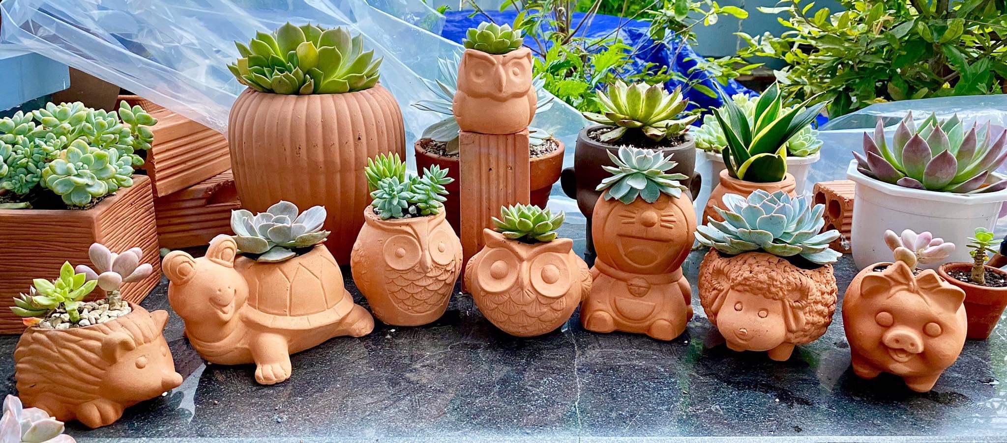 Chậu gốm đất nung hình thú dễ thương-decor sân vườn, nội thất.