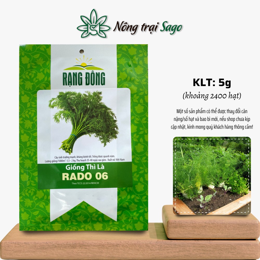 Hạt giống rau thì là dễ chăm sóc, chịu nhiệt tốt, trồng được quanh năm - nông trại sago