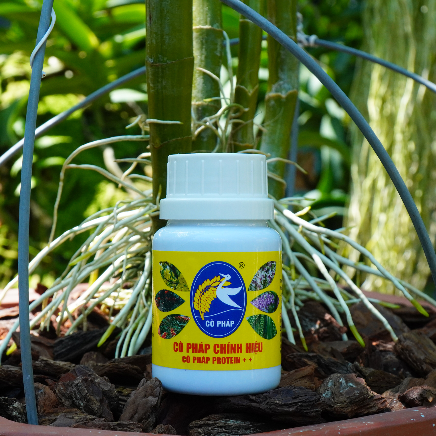 Phân bón protein++ đạm dinh dưỡng hữu cơ dành cho cây lan