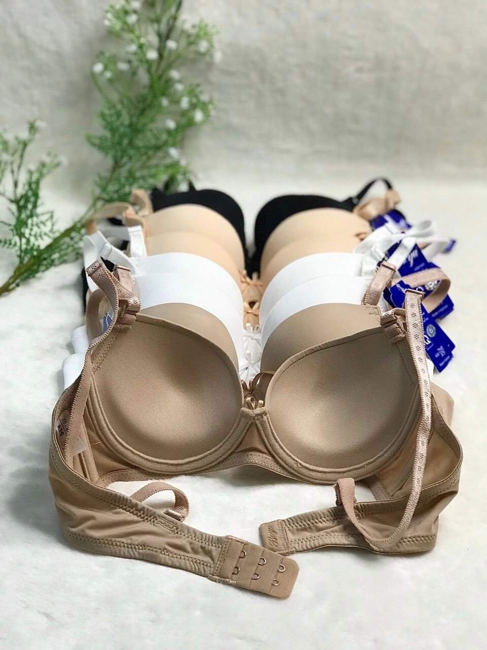 Áo ngực trơn boya chính hiệu mút mỏng