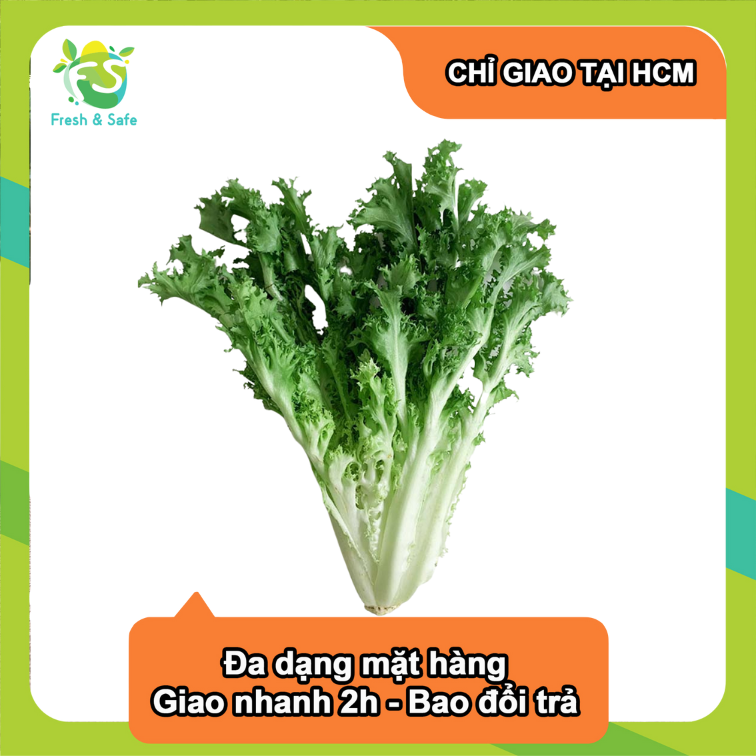 [Chỉ Giao HCM] Xà Lách Frise Xoắn- 300g