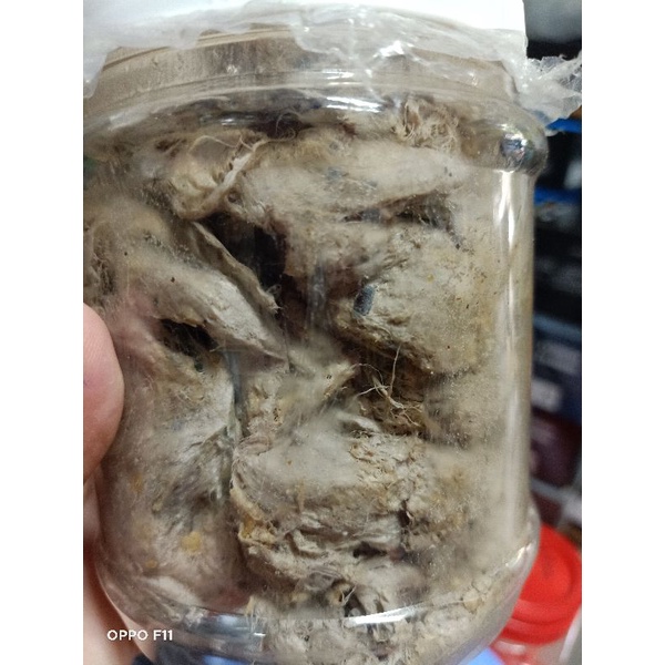 Mồi thuốc câu cá lăng - mồi thúi 500gram
