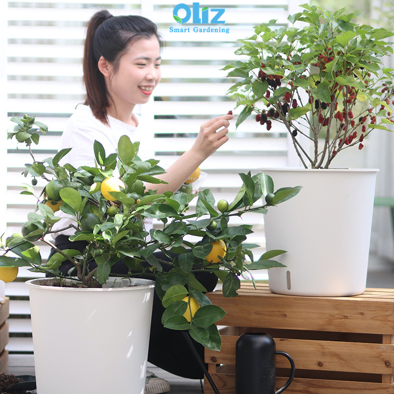 Chậu trồng cây tự tưới Oliz H105 - Chậu trồng cây ban công