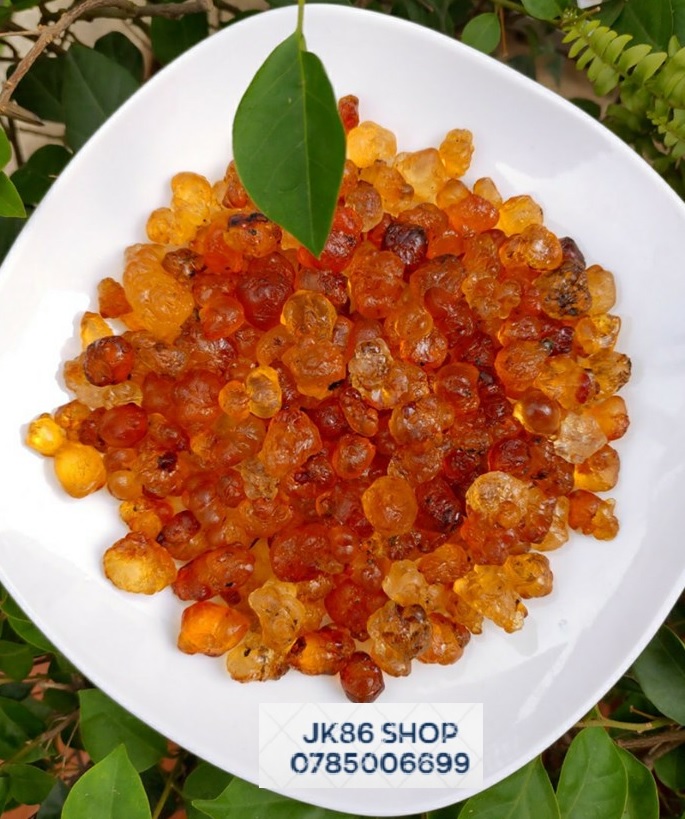 NHỰA ĐÀO (LỆ ĐÀO) - GÓI 100GR