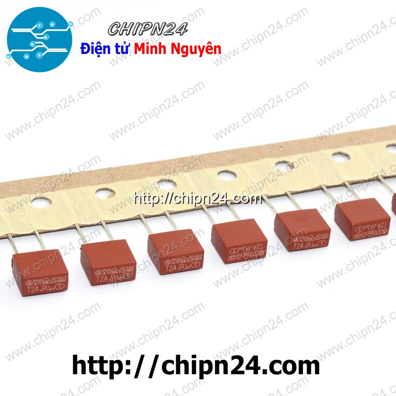 Cầu chì vuông 392 250v -