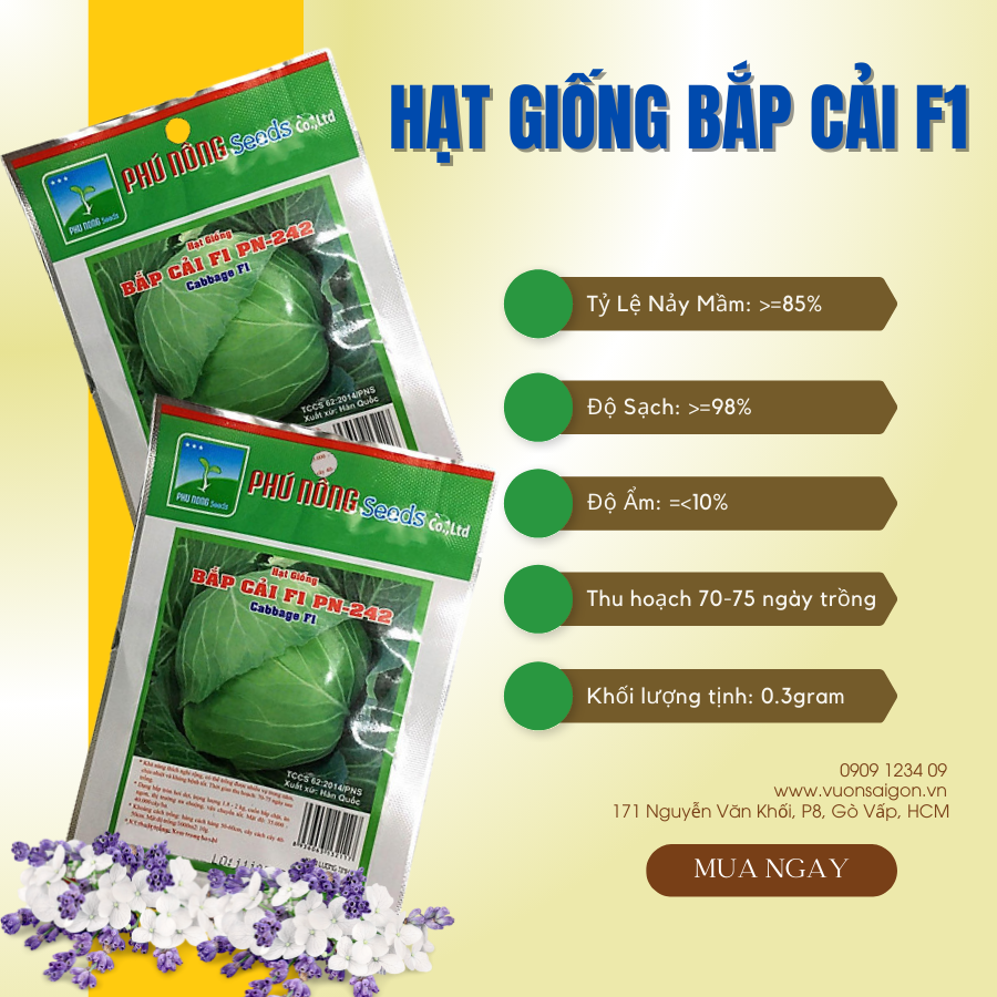 Hạt giống bắp cải f1 phú nông
