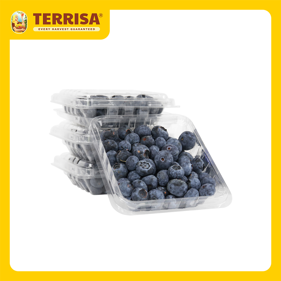 [HCM] Việt Quất Mỹ (Hộp 125 g) - TERRISA - Giao nhanh