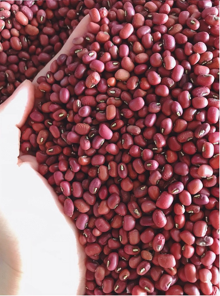 Đậu đỏ Thái Bình túi 1kg, nấu chè ngon, đỗ đỏ hạt mẩy to đều, nấu bở tơi, thơm | Tạp hóa Ánh Thảo