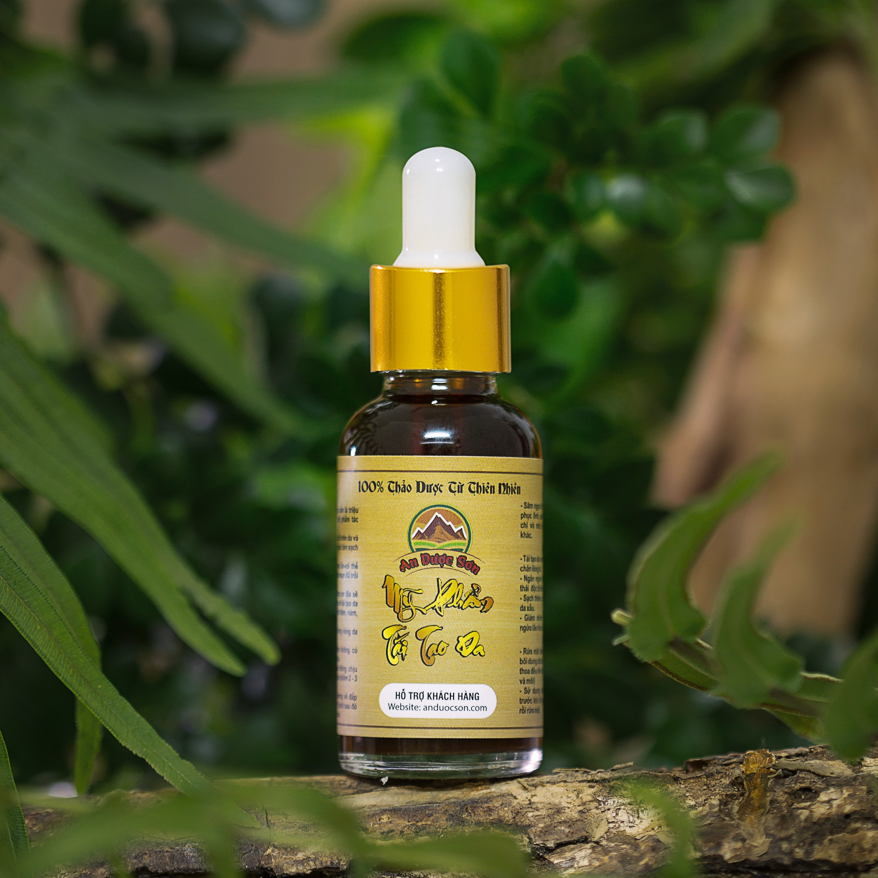 [Chính Hãng] Serum Tái Tạo An Dược Sơn 30ML