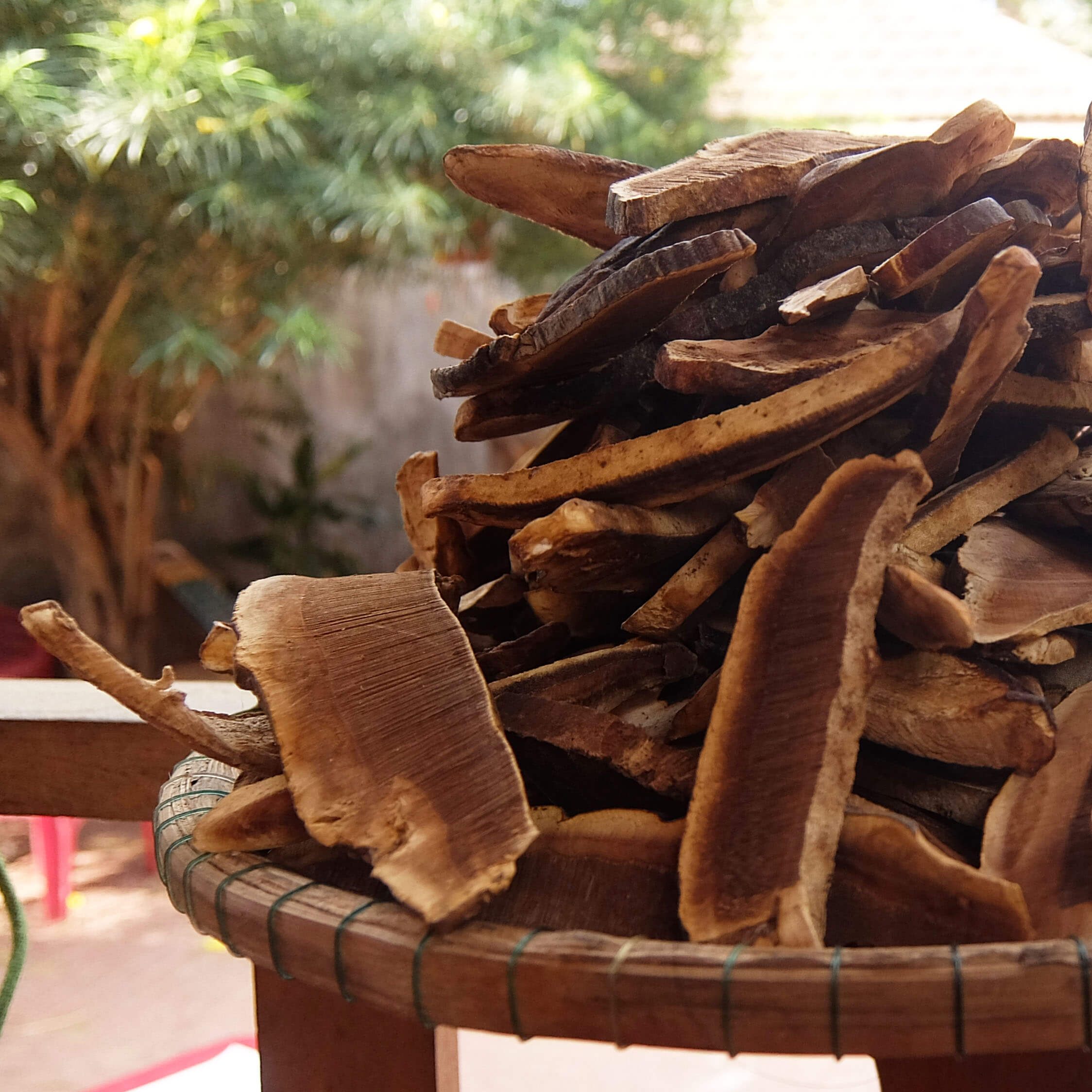Nấm linh chi rừng thái sẵn 500g chính gốc