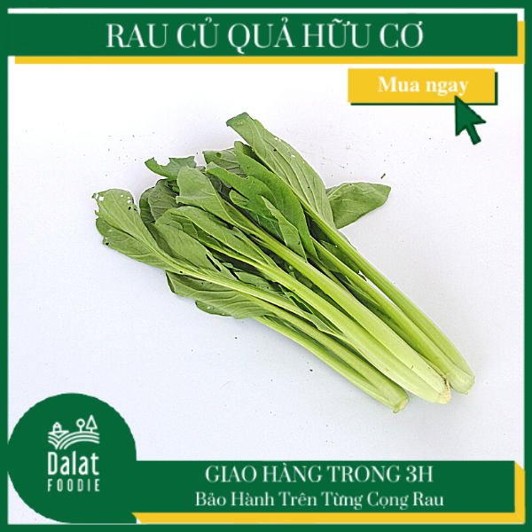 Cải ngọt hữu cơ 250 [Giao ngay 1-2h tại TPHCM]