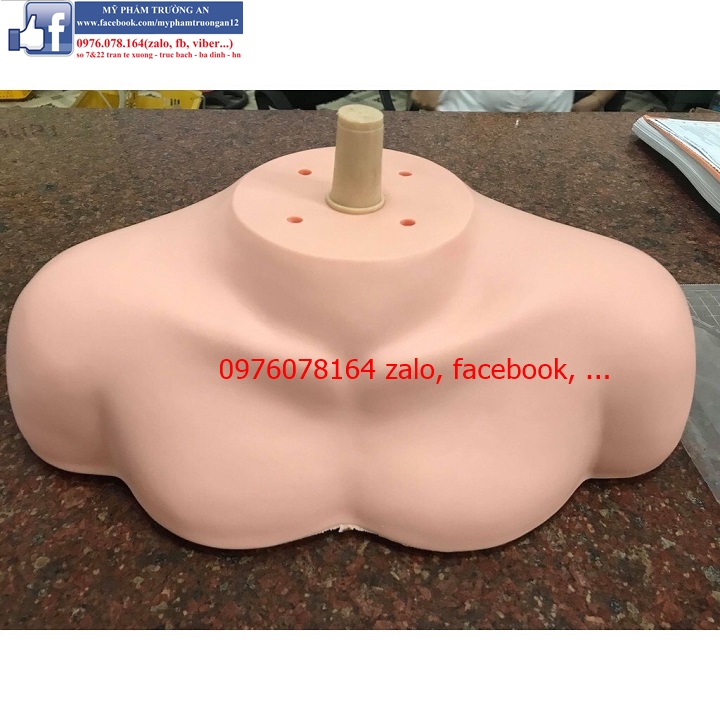 Combo vai manocanh học làm tóc và eto gá bàn giữ đầu manocanh - vai manocanh + eto