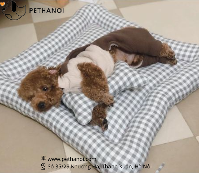 Đệm chó mèo hapipet hình vuông size M