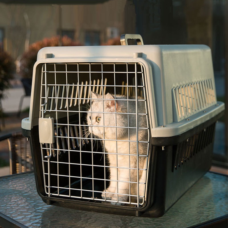 Lồng chó mèo- Lồng hàng không vận chuyển chó mèo đi xa Luna Pet LV01