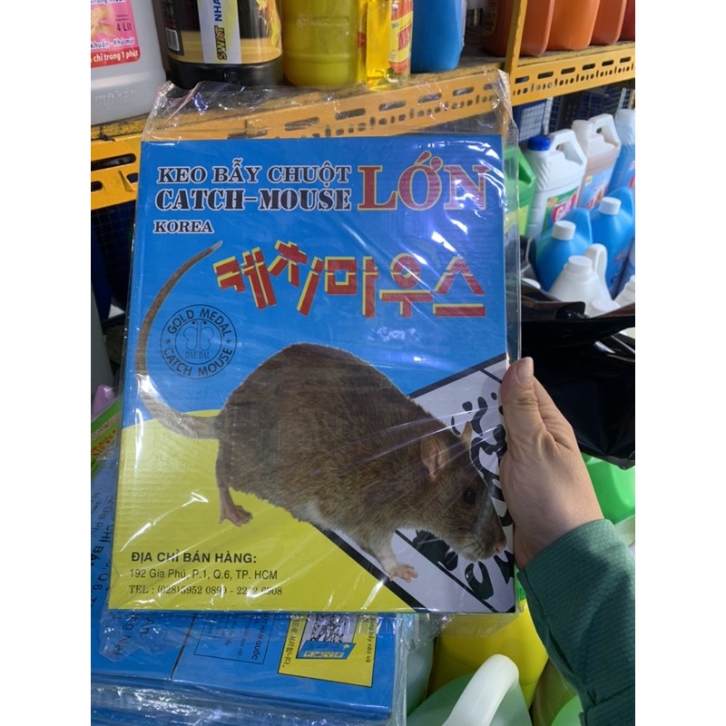 Keo Bẫy Chuột Lớn Catch Mouse Korea Đại Phát