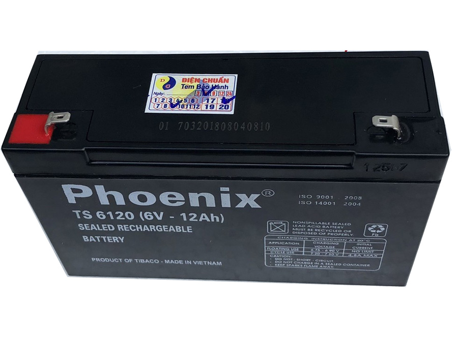 Ắc quy xe máy điện ô tô điện trẻ em 6v 12ah - phoenix ts6120