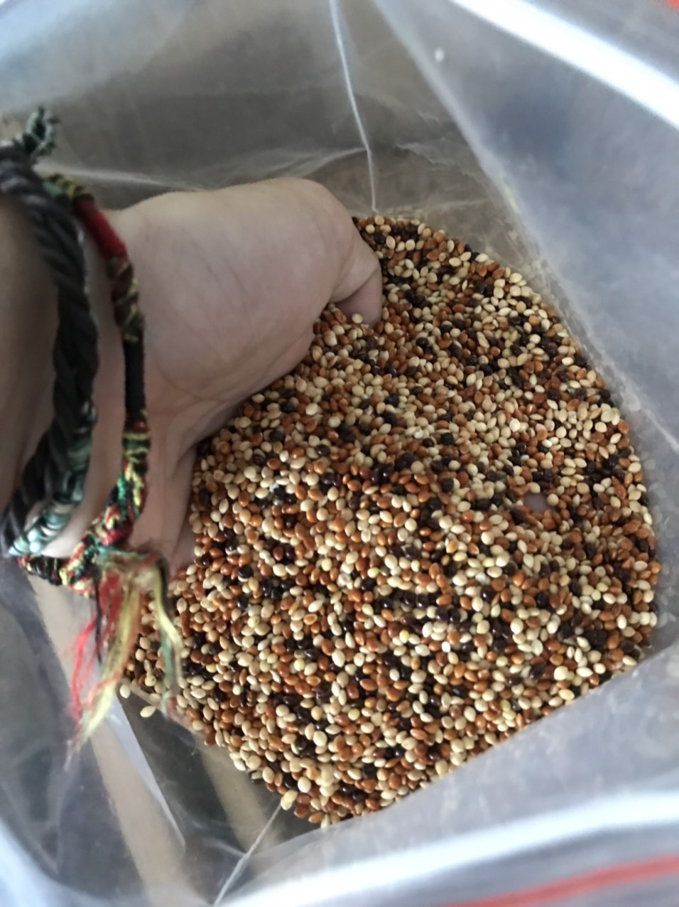 Hạt kê 4 màu, hạt cỏ Thái Lan, 1 túi 2kg dành cho chim ăn hạt, cu gáy... đầy đủ dinh dưỡng cho chim khỏe mạnh!