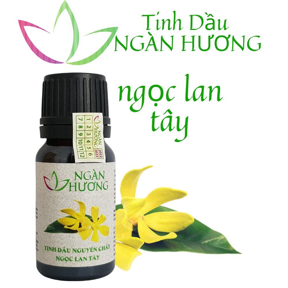 10ml-50ml Tinh dầu ngọc lan tây tinh dau xong phong nguyên chất khử mùi hiệu quả