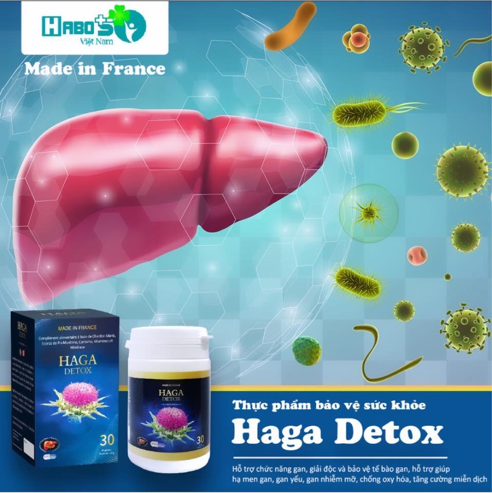 Thực phẩm bảo vệ sức khỏe Haga detox_ Hỗ trợ chức năng gan