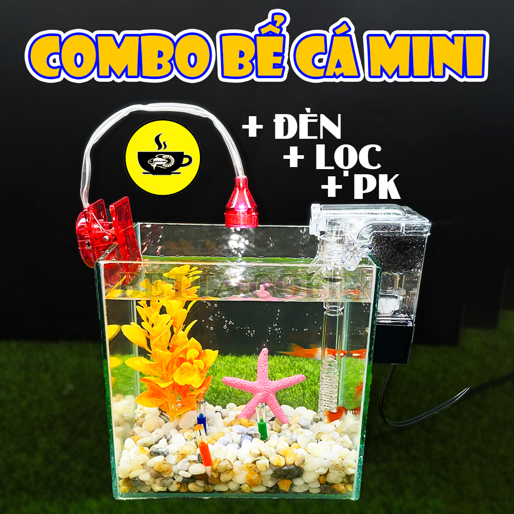 Combo hồ cá betta + phụ kiện đèn cây sỏi trang trí bể cá kính