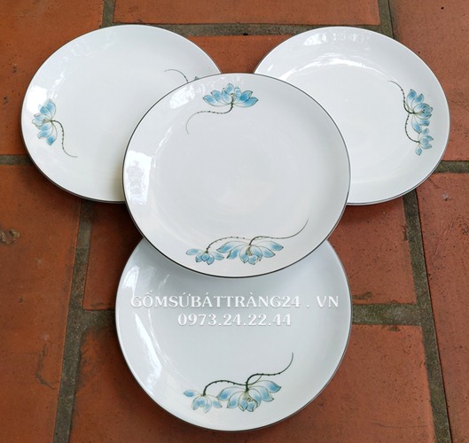 ĐĨA ĂN CƠM ĐẸP GIÁ RẺ DĨA SỨ TRÒN CAO CẤP ĐĨA SỨ ĐỰNG THỨC ĂN CỠ NHỎ TO VỪA