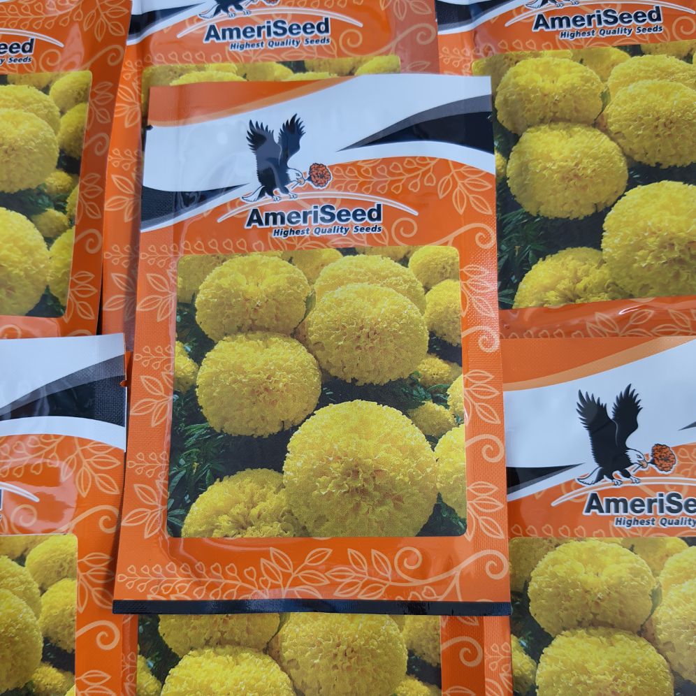 hạt giống vạn thọ Thái lùn F1 Ameriseed - hiệu con ó gói 1gr.
