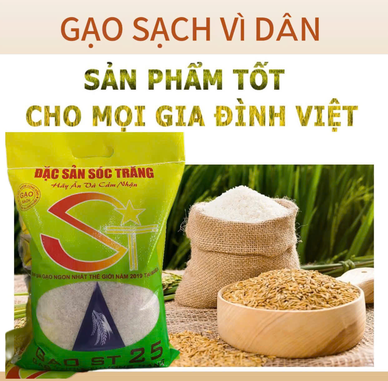 Gạo ST25 5KG - Dẻo Mềm Không Nở Ngon Cơm  - GẠO SẠCH