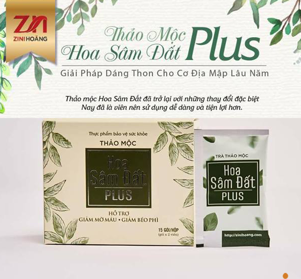 Trà giảm cân Hoa Sâm Đất PLUS MẪU XANH ZN mẫu mới dạng viên