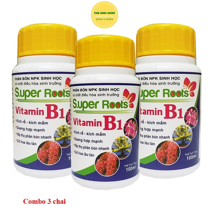Phân bón lá B1 chuyên dùng cho hoa hồng 100ml COMBO 3