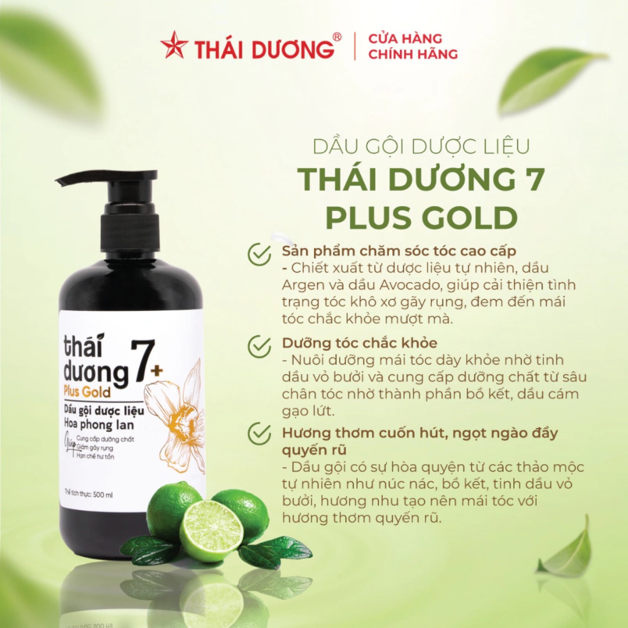 Dầu gội dược liệu thái dương 7 Plus 480ml, chống rụng tóc, ngăn ngừa gàu, giúp tóc mềm mượt tự nhiên, CH Boutique