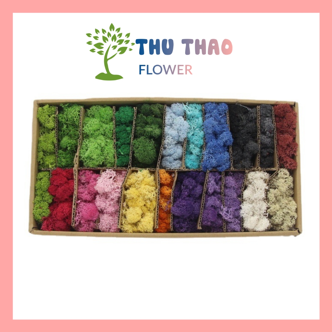 Rêu Tuần Lộc nhiều màu sắc trang trí tiểu cảnh, handmade hoa khô