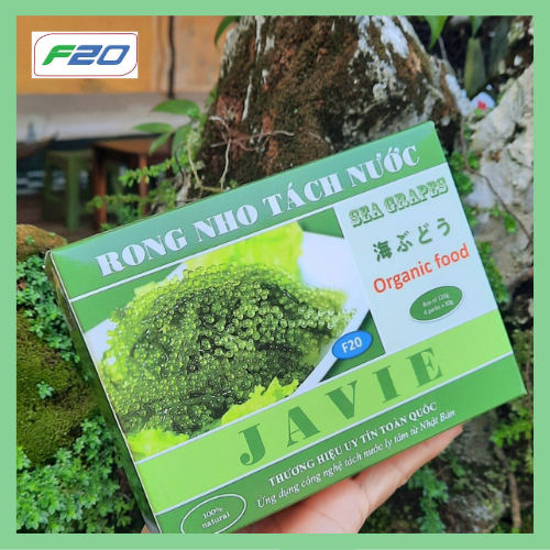 Hàng công ty TP F20 - Rong Nho Tách Nước JAVIE hộp 120g {4 gói x 30gr}+ tặng 4 gói sốt mè rang Kewpie 15ml