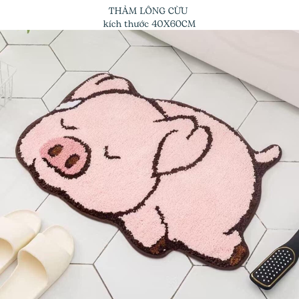 Thảm lông cừu, thảm lau chân ,thảm chùi chân 40x60cm hình kute, chống trơn trượt