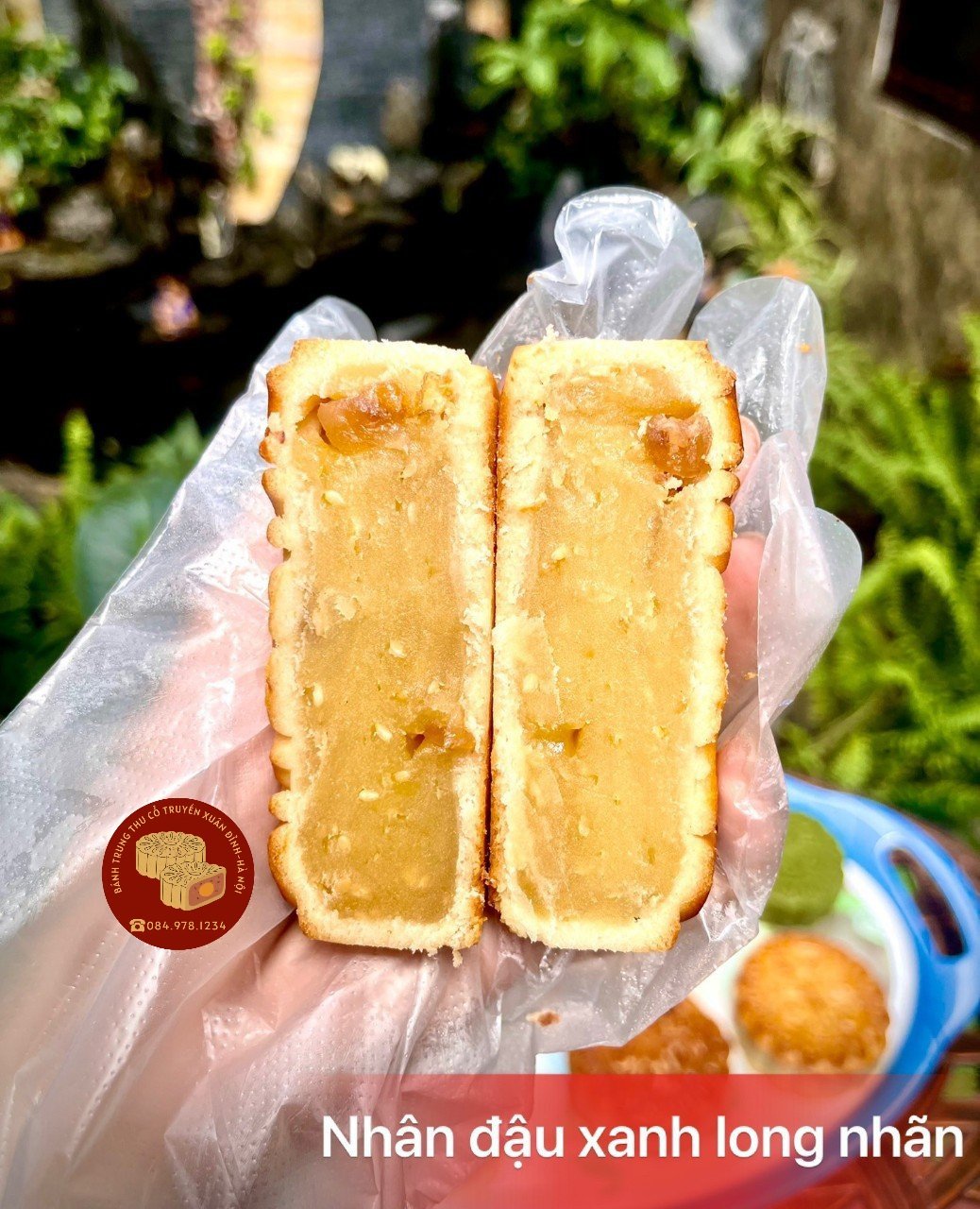 Bánh trung thu nướng/dẻo nhân đậu xanh long nhãn