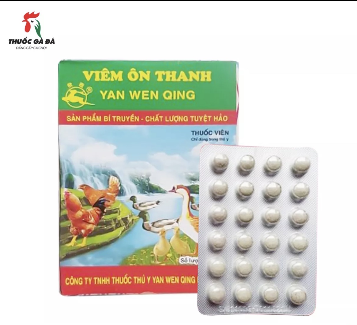 Viêm ôn thanh 10 hộp