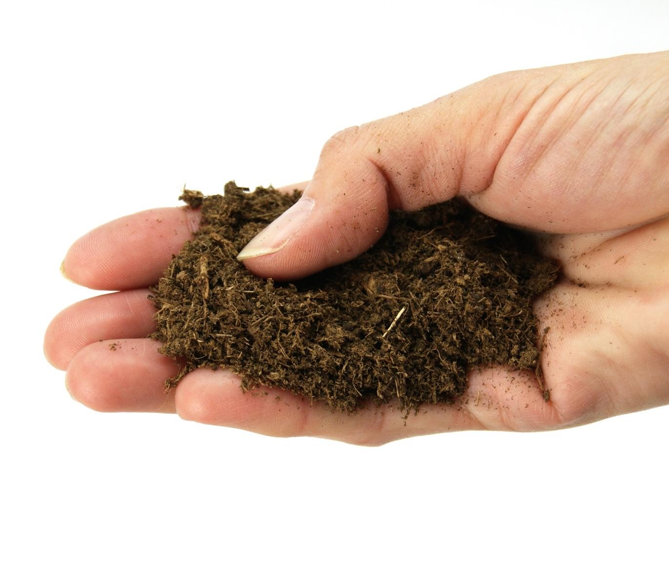 Peat moss 5 KG (Peat man)  - Sản phẩm chất lượng - gian hàng uy tín - giá luôn tốt - mua ngay kẻo lỡ !