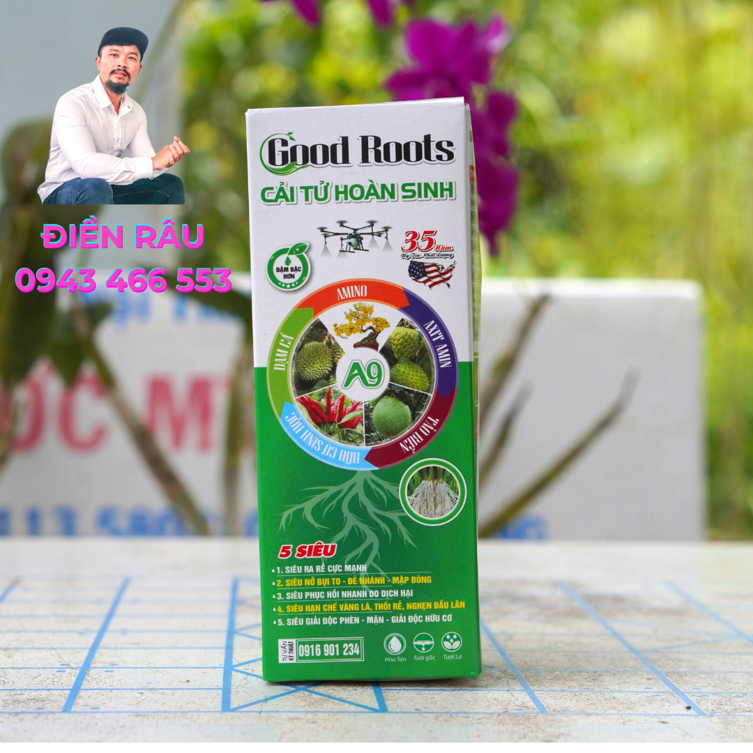 Ra rễ- ra rễ- ra rễ- roots điền râu- nâng tầm chất lượng - vtnn24h điền râu