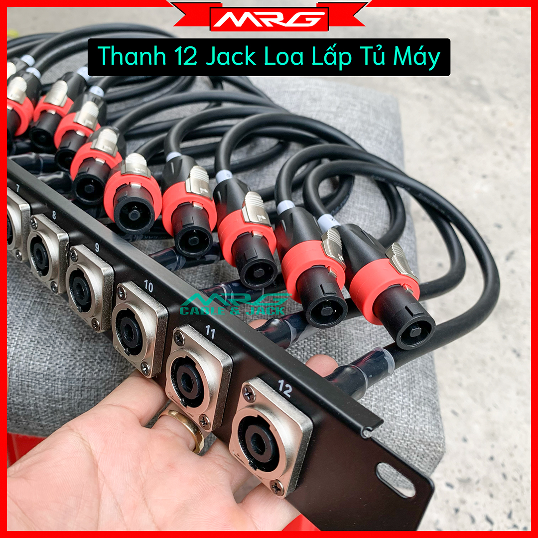 Thanh Chia Jack Loa Tủ Máy 12 Jack, đã hoàng thiện gắn dây và jack | thanh jack loa, thanh cắm giắc loa, thanh bắt jack âm.