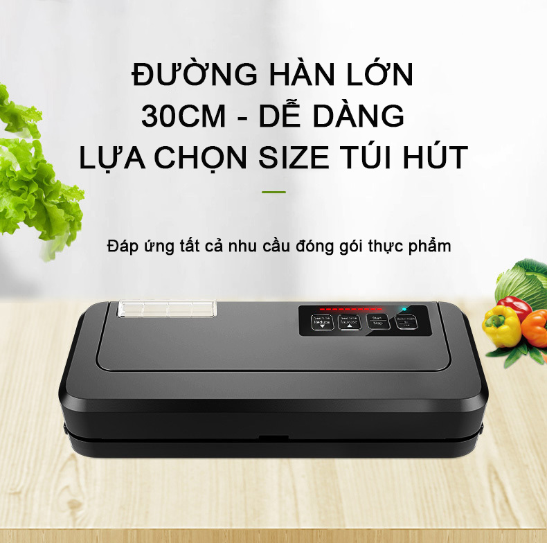 Hàng có sẵn-máy hút chân không không kén túi p290, máy hút thực phẩm chuyên nghiệp , hàng chính hãng tặng kèm túi