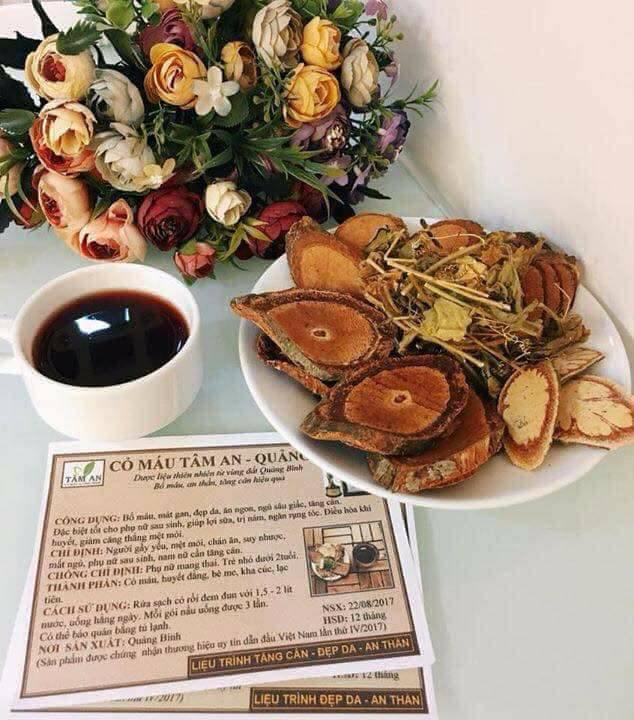 Cỏ máu Tâm An Quảng Bình