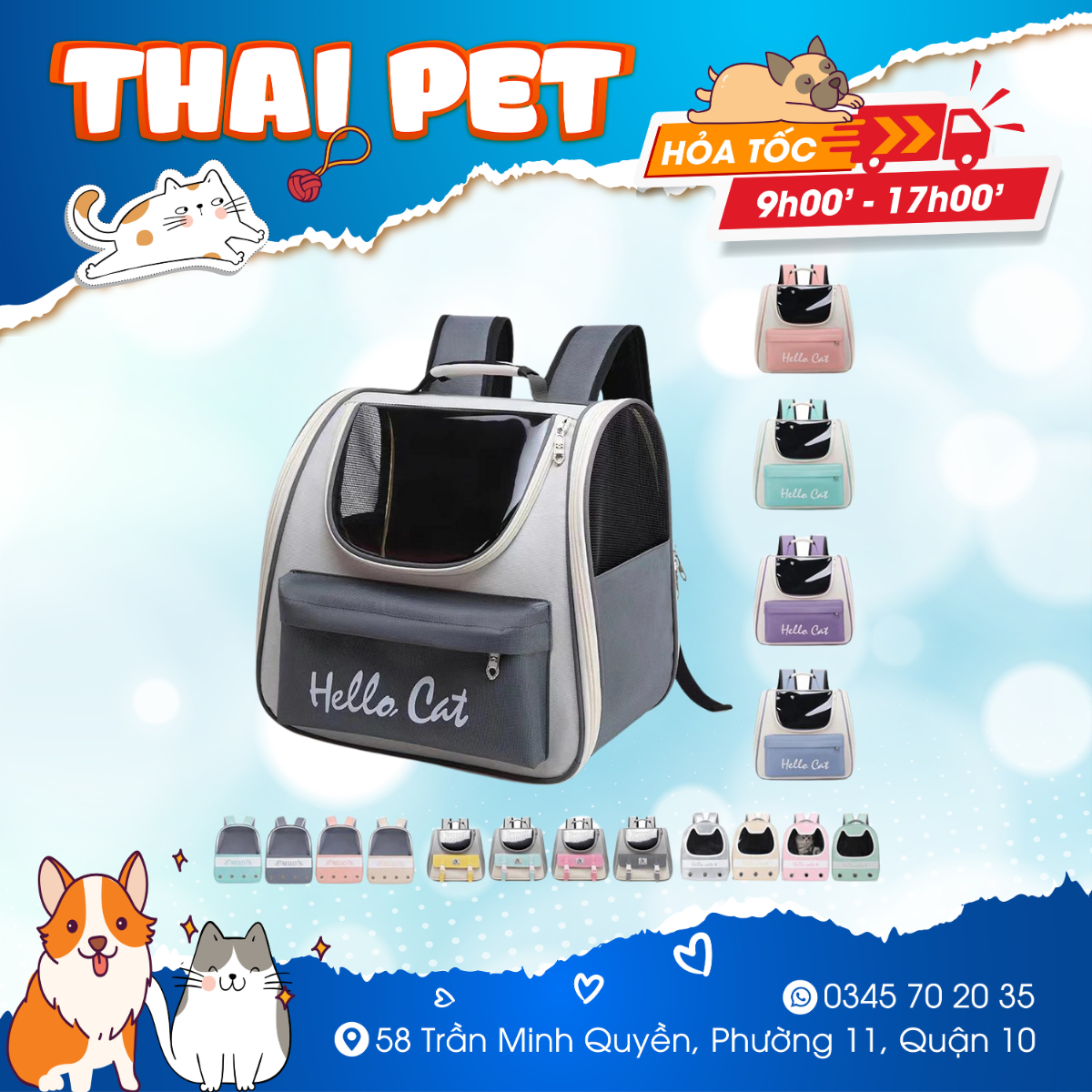 Balo đựng mèo Hello Cat - Balo cho mèo size lớn