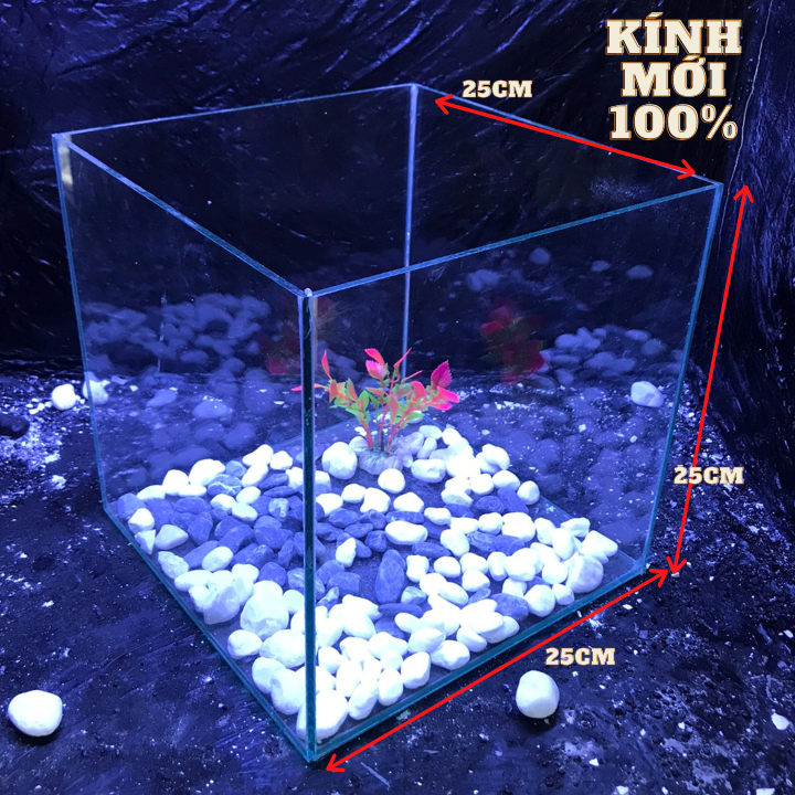 bể cá cubic 25cm tặng phụ kiện - bể cá mini - bể cá để bàn