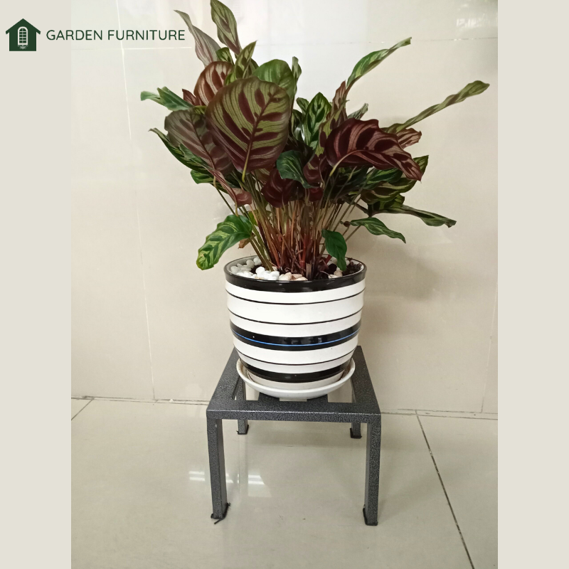 (COMBO 3 Kệ) Kệ Sắt đa năng, Kệ Sắt Để Chậu Hoa, Cây Cảnh sơn tĩnh điện không phai màu, dùng cho cây văn phòng, ban công và sân thượng